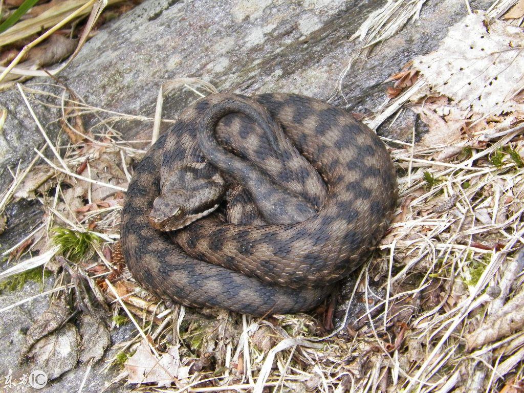 吉林,历史底蕴与现代发展的融合探索